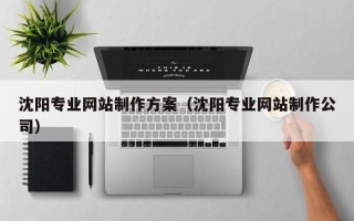 乐山沈阳专业网站制作方案（沈阳专业网站制作公司）